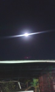 The moon-picture taken from the carpark